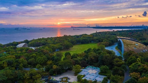 科創寶山 揚帆出海拓圈，奮力尋找新流量與創新增長極